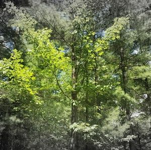 Meet your Posher, Ali